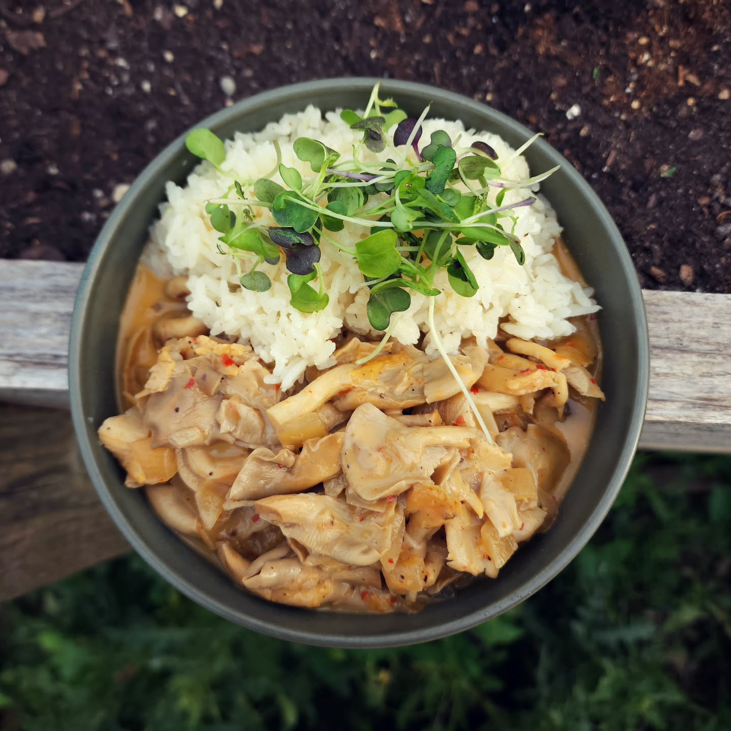 Bowl of oyster stew and rice topped with microgreens.
